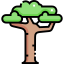 Baobab