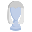 Wig