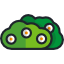 Bush