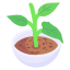 Plant pot