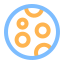 Biscuit