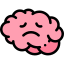 Brain