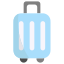 Luggage