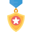 Medal