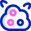 Bush