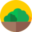 Bush
