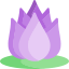 Цветок лотоса