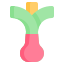 Spring onion