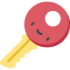 Door key