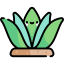Agave