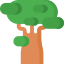 Baobab