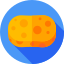 Sponge