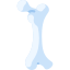 Bone