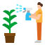 Plant
