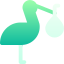 Stork