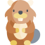 Beaver