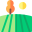 Field