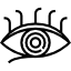 Eye