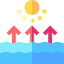 Sea level