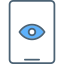 Vision