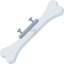 Bone