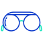 Sunglass