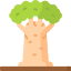 Baobab