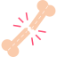 Bone