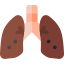 Lungs