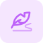 Quill