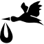 Stork