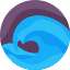 Tsunami