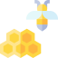 Honeycomb