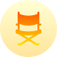 Director chair