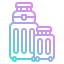 Luggage