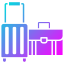 Luggage