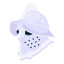 Shield