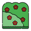 Bush