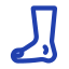 Foot
