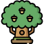 Oak