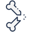 Bone