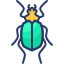 Insect