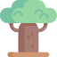 Baobab