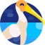 Stork