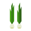 Spring onion