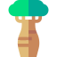 Baobab