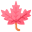 Maple