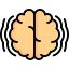Brain