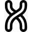Chromosome