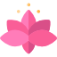 Цветок лотоса